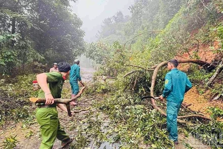 Mưa lớn diện rộng từ thành phố Huế đến Lâm Đồng gây lũ trên nhiều sông, làm hàng nghìn nhà dân bị ngập, hơn 3.300 ha cây trồng thiệt hại, 1 người tử vong tại Lâm Đồng.
