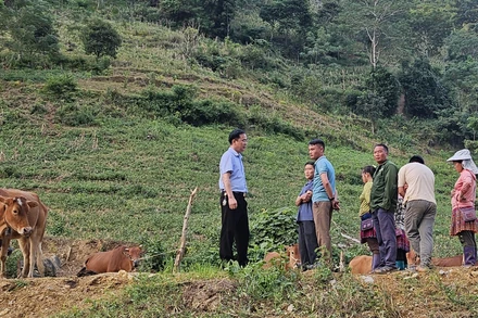 Lãnh đạo xã Pà Vầy Sủ kiểm tra hiện trường khu vực có nguy cơ sạt lở ảnh hưởng đến tính mạng và tài sản của nhân dân.
