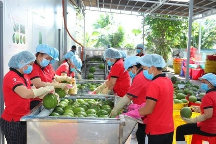 Trái cây Việt Nam có lợi thế đặc sản, khác biệt mùa vụ và có thể mở rộng tiêu thụ không chỉ tại Trung Quốc mà cả thị trường nội địa.