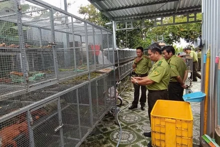 Cục Lâm nghiệp và Kiểm lâm phối hợp cùng các lực lượng kiểm tra cơ sở nuôi tại Lô 14, ấp Bình Thành, xã Thoại Sơn, tỉnh An Giang. Nguồn: Cục Lâm nghiệp và Kiểm lâm.