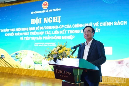 Thứ trưởng Nông nghiệp và Môi trường Võ Văn Hưng phát biểu tại Hội nghị.