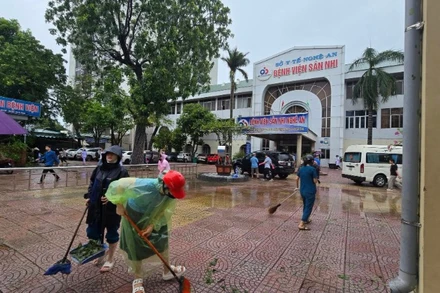 Bộ Nông nghiệp và Môi trường đề nghị các địa phương khẩn trương khắc phục hậu quả bão số 5. (Ảnh minh họa: nhandan.vn)