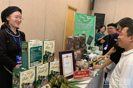 Các quầy hàng trưng bày sản phẩm dự thi trưng bày tại không gian sự kiện.