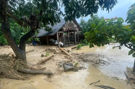 Lực lượng tại chỗ khẩn trương khắc phục sự cố sạt mái đê sông Chu. 