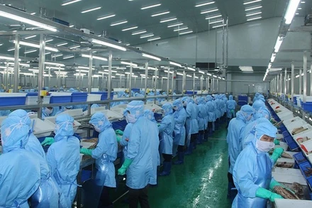 Xuất khẩu thủy sản tháng 6 tăng chậm lại do sụt giảm mạnh từ thị trường Mỹ. (Ảnh minh họa: BÁO NHÂN DÂN) 