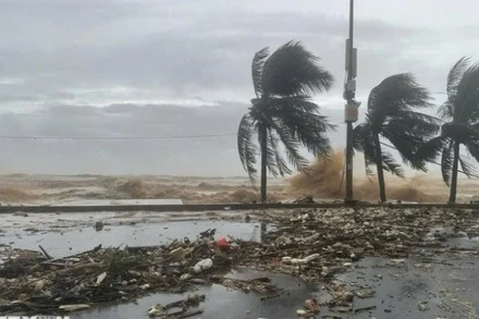 Bộ Nông nghiệp và Môi trường đề nghị Ủy ban nhân dân các địa phương khẩn trương huy động lực lượng, phương tiện để kêu gọi, hướng dẫn hoặc áp dụng biện pháp cần thiết đưa tàu thuyền vào nơi neo đậu an toàn. (Ảnh minh họa: TTXVN)