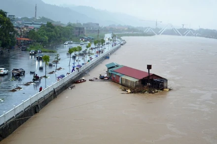 Cục Quản lý đê điều và Phòng, chống thiên tai (Bộ Nông nghiệp và Môi trường) yêu cầu các địa phương: Thái Nguyên, Bắc Ninh, Bắc Giang và thành phố Hà Nội về việc triển khai công tác hộ đê, bảo đảm an toàn hệ thống đê điều.