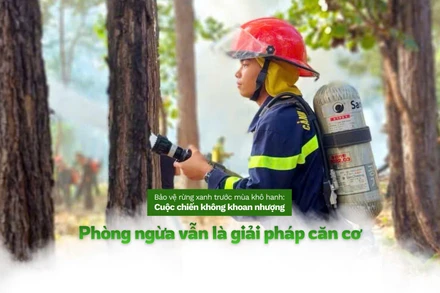 Mùa khô 2025-2026 đang đặt ra những thách thức chưa từng có đối với “lá phổi xanh” của đất nước.