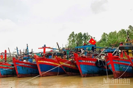 Hiện bốn địa phương Quảng Ninh, Hải Phòng, Hưng Yên và Ninh Bình đã ban hành lệnh cấm biển.