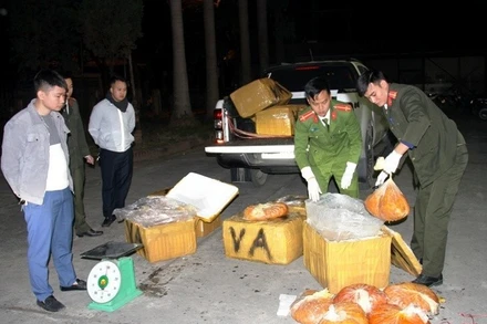 Công an thành phố Lào Cai bắt vụ buôn lậu hơn 500 kg trứng gà non nhập lậu qua biên giới.