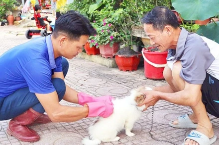 Năm 2024, cả nước ghi nhận 89 ca tử vong do bệnh dại, tất cả đều không tiêm phòng, chủ yếu do chó, mèo lây bệnh. (Ảnh: nhandan.vn)