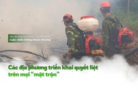 Mùa hanh khô, nguy cơ cháy rừng luôn rình rập, đe dọa “lá phổi xanh” của đất nước.