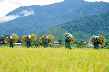 Quân đội đi đầu trong thực hiện các chương trình mục tiêu quốc gia.