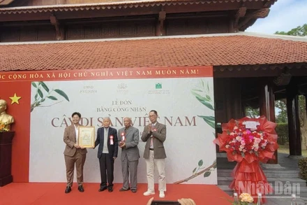 Hội Bảo vệ thiên nhiên và môi trường Việt Nam trao công nhận 12 cây cổ thụ là Cây di sản Việt Nam tại cho đại diện Khu nghỉ dưỡng chăm sóc sức khỏe SenNa.