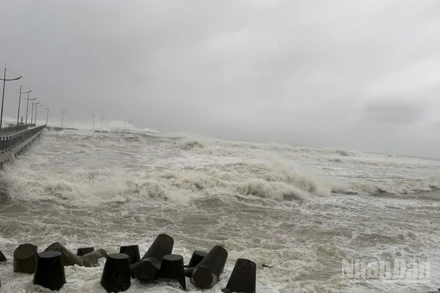 Theo Trung tâm Dự báo khí tượng thủy văn quốc gia, hồi 13 giờ ngày 8/11, bão Fung-wong đang hoạt động trên vùng biển phía đông miền trung Philippines, có sức gió mạnh cấp 13, giật cấp 16.