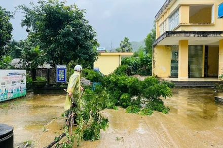 Tính đến 17 giờ ngày 8/11, bão số 13 đã gây thiệt hại nặng nề tại khu vực Tây Nguyên và tỉnh Quảng Ngãi.