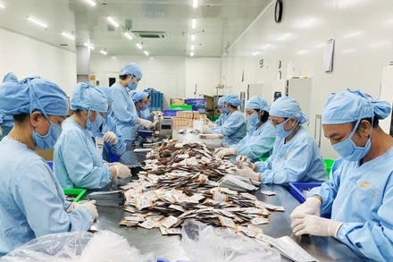 Tiêu dùng xanh gõ cửa, thương mại điện tử trước thách thức bền vững.