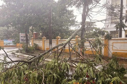 Chiều tối nay (ngày 25/8), vùng tâm bão số 5 đã đổ bộ vào Nghệ An-Hà Tĩnh, gây gió mạnh cấp 10, giật cấp 15. (Ảnh: nhandan.vn)