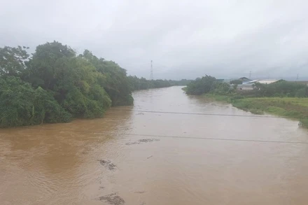 Do mưa lớn nhiều ngày, nước sông Bứa tại huyện Thanh Sơn dâng cao đe dọa đến tính mạng và tài sản của người dân.