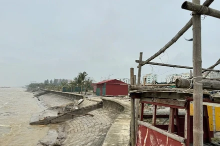 Bộ Nông nghiệp và Môi trường đề nghị Ủy ban nhân dân các tỉnh, thành phố ven biển từ Quảng Ninh đến Khánh Hòa và các bộ, ngành liên quan chủ động ứng phó với áp thấp nhiệt đới trên Biển Đông. (Ảnh minh họa: Nhandan.vn)