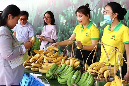 Chuối hiện là một trong những cây ăn quả chủ lực của Việt Nam.