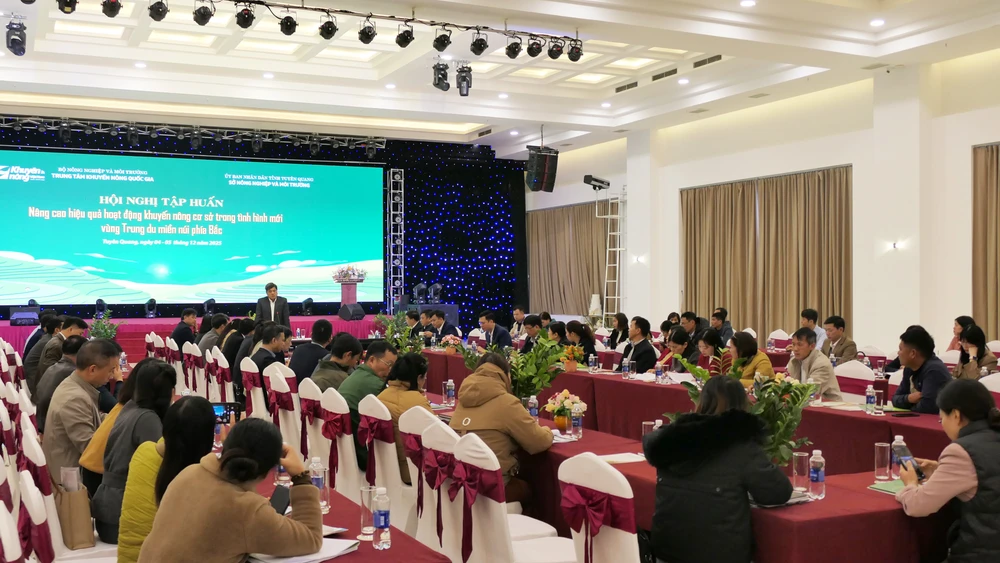 Toàn cảnh lớp tập huấn.