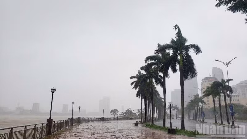 Đà Nẵng có gió mạnh và mưa lớn.