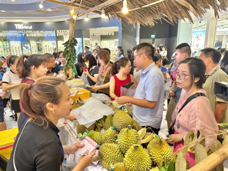 Người dân Hải Phòng tham gia, ủng hộ tiêu thụ sầu riêng của Cần Thơ.