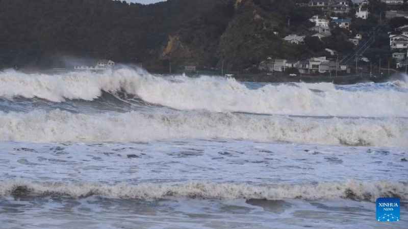 Ảnh minh họa: Tân Hoa xã