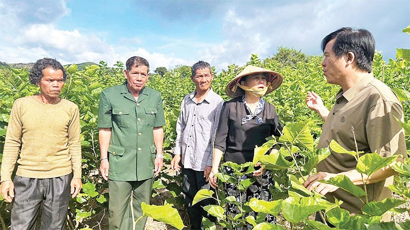 Cán bộ xã, hội đoàn thể xã Bờ Y trao đổi kinh nghiệm trồng cây nông nghiệp.