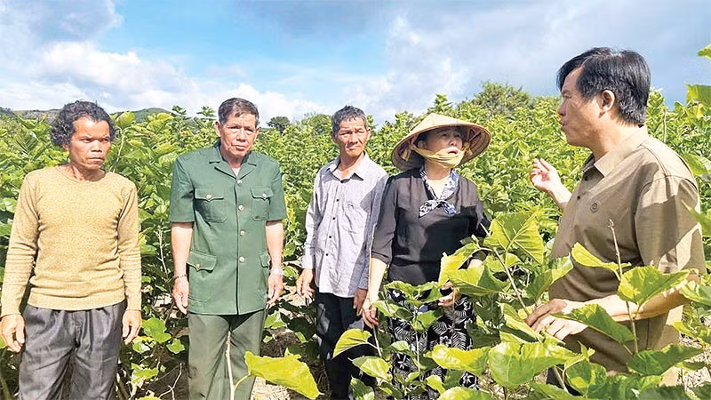 Cán bộ xã, hội đoàn thể xã Bờ Y trao đổi kinh nghiệm trồng cây nông nghiệp.