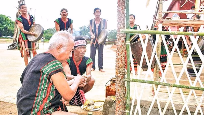 Chủ lễ thực hiện nghi thức tưới rượu cần lên cây Blang và các vật cúng tế trong Lễ Tăm Blang m’prang bon của người Mnông Pré, Nam Nung, Lâm Đồng.