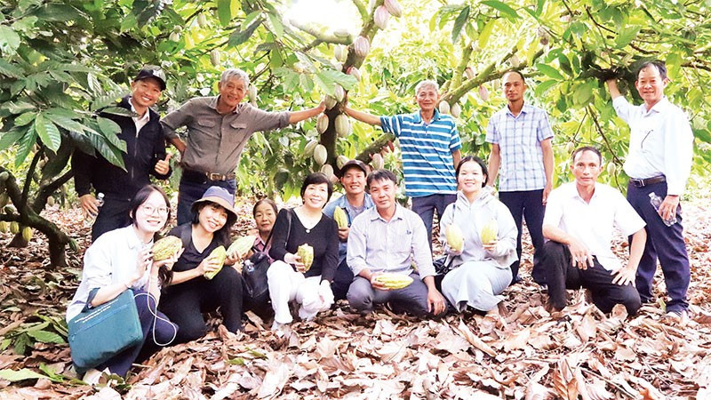 Các hộ nông dân và đại diện các hợp tác xã tham quan học tập mô hình canh tác ca-cao bền vững gắn liền với tăng trưởng xanh và giảm phát thải trên địa bàn xã Ea Knốp, tỉnh Đắk Lắk.