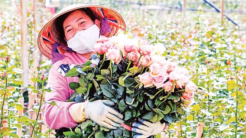 Niềm vui mùa thu hoạch.