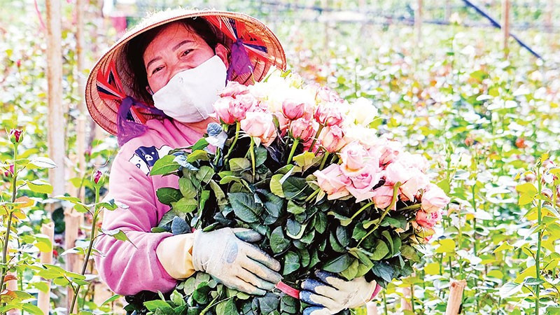 Niềm vui mùa thu hoạch.