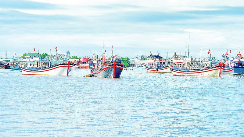 Nhiều tàu cá cập cảng cùng thời điểm nên công tác khai báo và bốc dỡ hàng hóa bị chậm trễ.