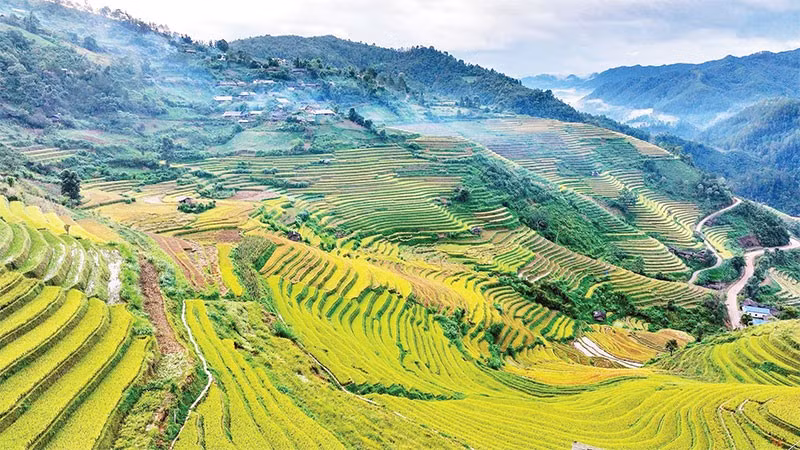 Hương lúa mới quyện cùng gió núi trong lành khiến bước chân ai cũng như chậm lại để tận hưởng trọn vẹn vẻ đẹp mộc mạc mà say đắm. 