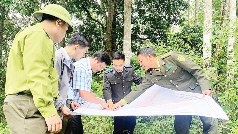 Các đơn vị chức năng và kiểm lâm Thái Nguyên kiểm tra, rà soát quy hoạch rừng để làm cơ sở giao đất, giao rừng cho người dân và cộng đồng bảo vệ, quản lý.
