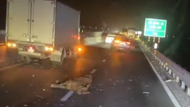 Hiện trường vụ tai nạn.