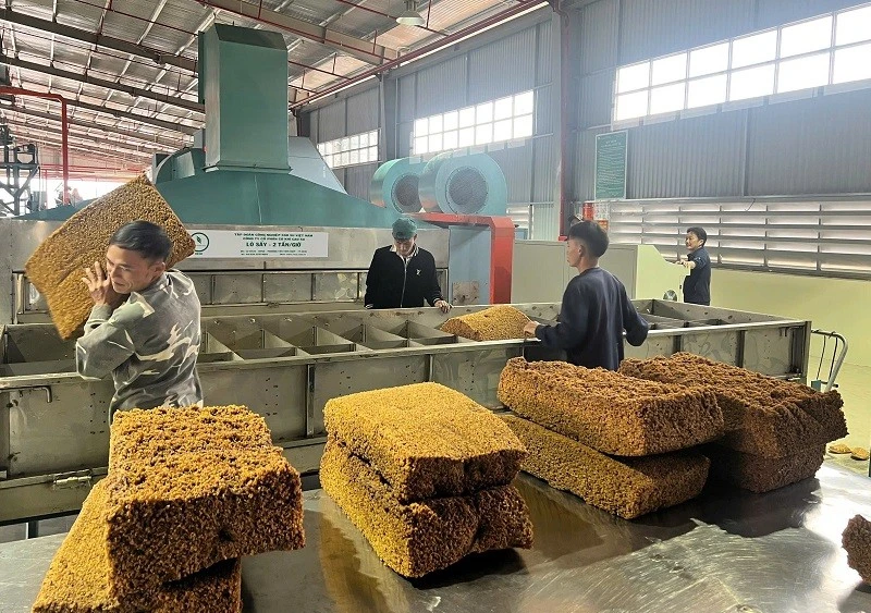 Lô sản phẩm cao-su đầu tiên mang thương hiệu SVR10 và SVR20 được sản xuất tại Nhà máy chế biến mủ cao-su Điện Biên.