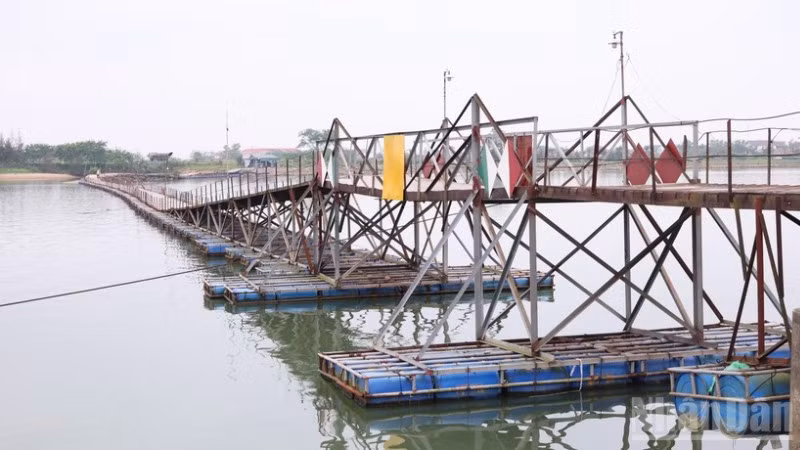 Cầu dân sinh Triệu Độ bắc qua sông Thạch Hãn nhiều năm nay phục vụ nhu cầu đi lại của người dân.