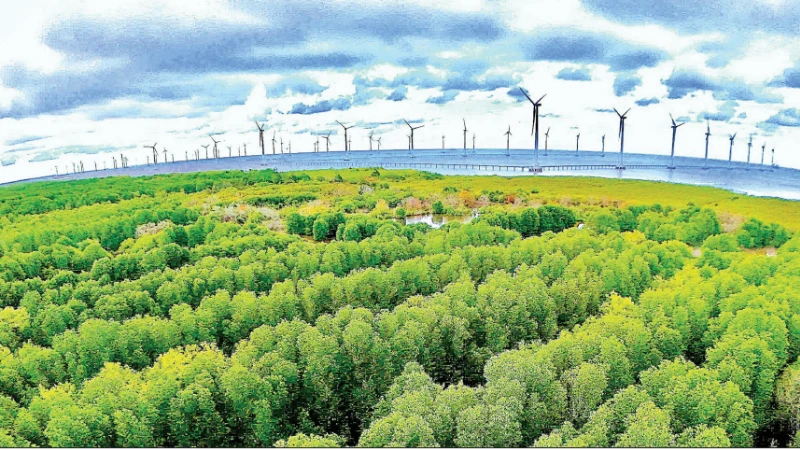 Phát triển năng lượng tái tạo là một trong ba đột phá chiến lược của Cà Mau từ năm 2026.