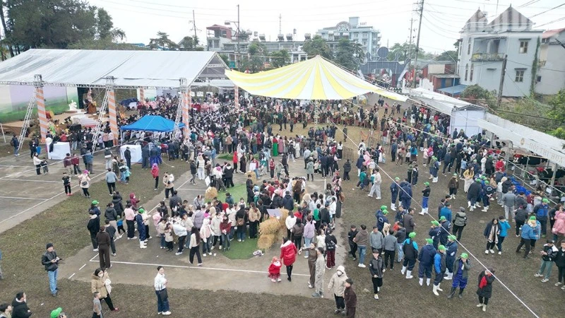 Hội thi "Hoa hậu Bò sữa Mộc Châu năm 2026" thu hút hàng nghìn du khách và người dân tham dự.