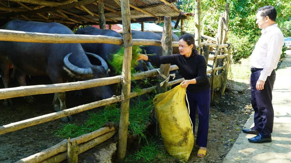 Nhờ vốn ưu đãi, bà Đinh Thị Ngọc Lan ở xã Sơn Hạ làm ăn khấm khá và thoát nghèo bền vững.