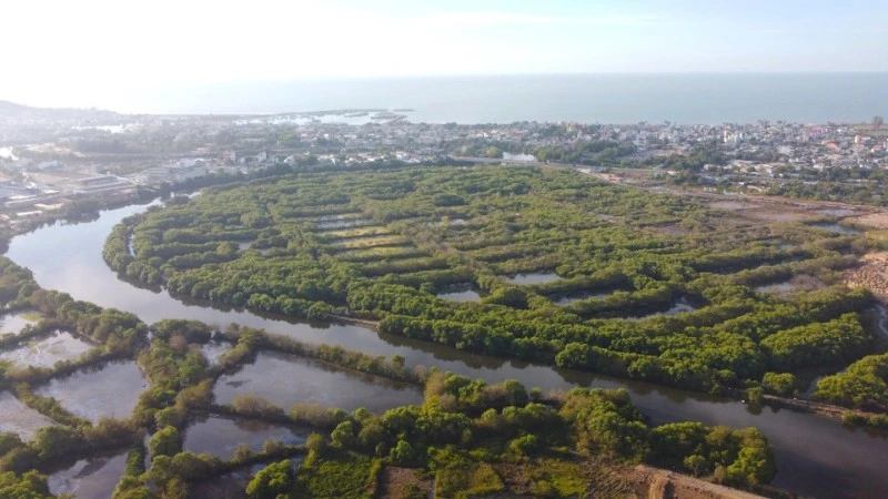 Dự án công viên Hùng Vương.