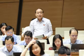 Đại biểu Lã Thanh Tân (Hải Phòng) phát biểu. (Ảnh: DUY LINH)