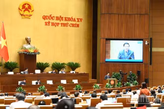 Quang cảnh phiên thảo luận của Quốc hội, chiều 20/6/2025. (Ảnh: DUY LINH)