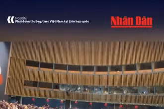 [Video] Khoảnh khắc Việt Nam được xướng tên tại Hội đồng Nhân quyền Liên hợp quốc
