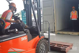 Sinh viên ngành logistics Trường Cao đẳng Hàng hải và Đường thủy 1 trong giờ thực hành mô phỏng. (Ảnh: TRUNG HƯNG)