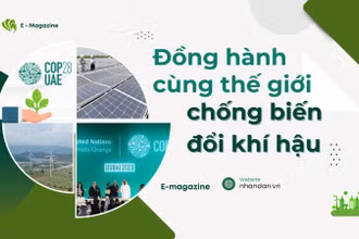 Đồng hành cùng thế giới chống biến đổi khí hậu